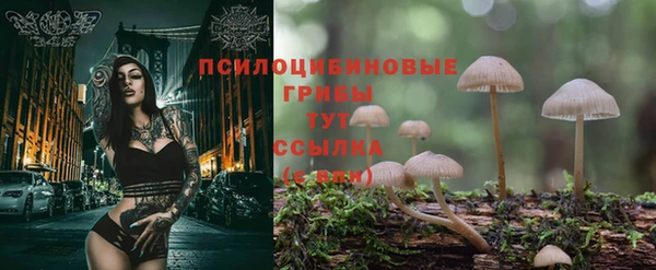 твердый Белокуриха